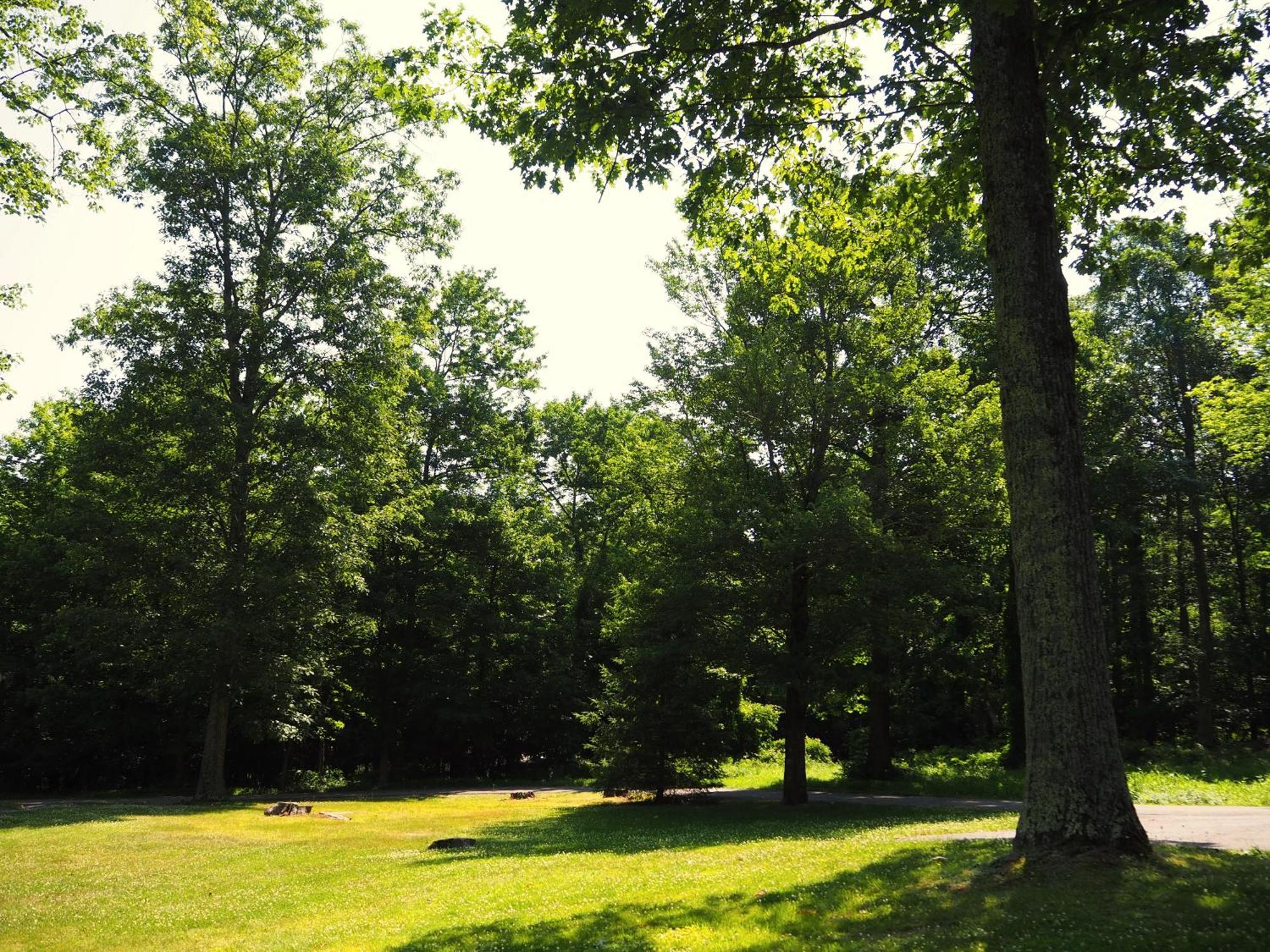 Cresco Woodfield Manor - A Sundance Vacations Property מראה חיצוני תמונה