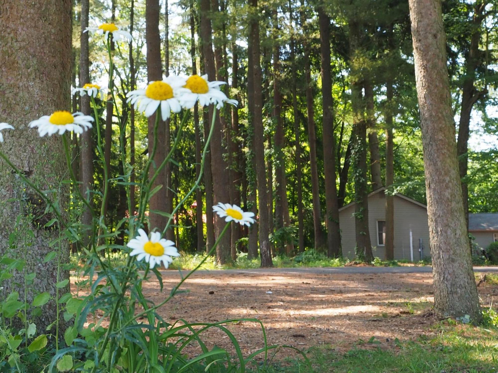 Cresco Woodfield Manor - A Sundance Vacations Property מראה חיצוני תמונה